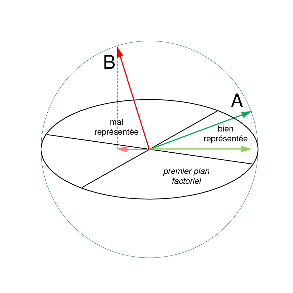 Contribution relative d'un axe dans l'explication de l'inertie d'une variable : dans cet exemple, issu d'une ACP normée, la variable A est bien mieux représentée que B par la projection sur le plan des deux premiers axes principaux