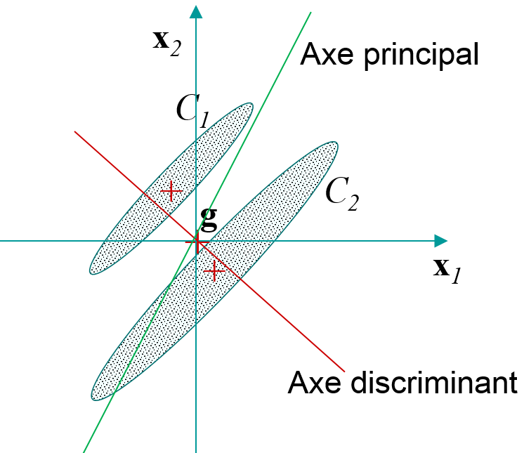 Axe discriminant et axe principal pour un exemple simple