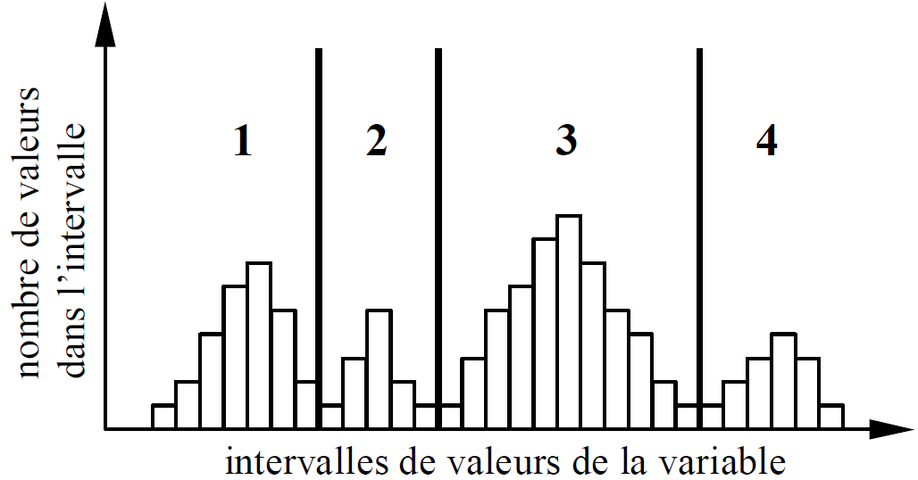 Découpage en intervalles du domaine d'une variable quantitative à partir de l'histogramme des valeurs